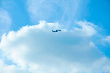 Fototapeta premium airplane flying in the sky