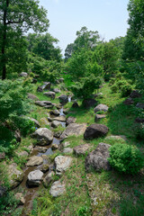 Fototapeta premium 自然豊かな公園