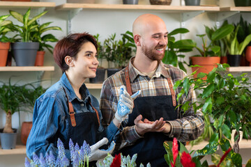 Family business concept young couple working together at their own floral shop they plant the flowers on the pot together