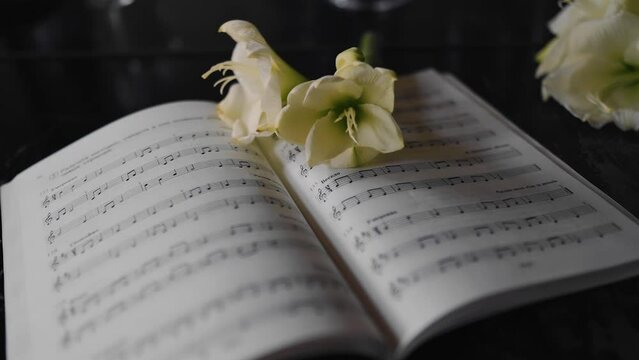 A live flower is lying on an open music notebook. An interesting composition for creativity