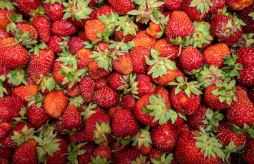 Natural looking fresh red strawberry in package.