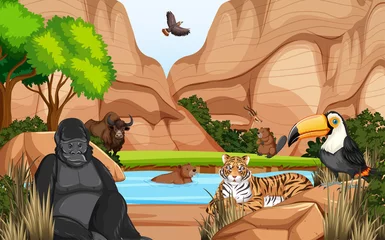 Dryland forest with animals © blueringmedia