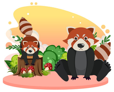 Two red pandas in flat cartoon style