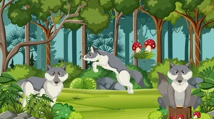 Wolfs group in the forest scene © blueringmedia