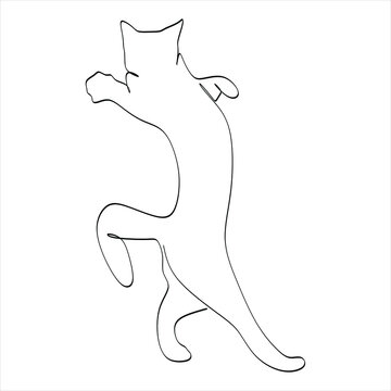 Vector illustration of a cat. White drawing, for prints and t-shirts, logos.
