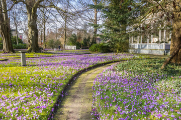 Garden with spring flowers of the historic Overcingel house in Assen, Netherlands