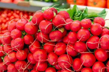 Bunches of fresh organic red radish vegetables