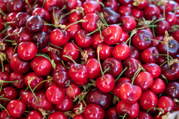 New season of ripe red sweet cherry summer fruits