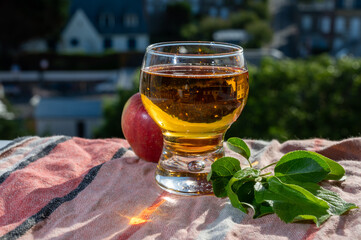 Glass of apple cider drink in sunlights and houses of Etretat village on background, Normandy, France