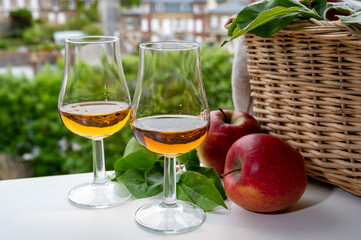 Tasting of strong alcoholic drink calvados made from apples in Normandy, Calvados region, France