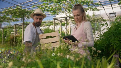 Young couple of gardeners in aprons caring for plants. Point of view from plants