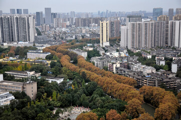 Fototapeta premium view of downtown city in autumn