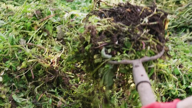 The pitchfork is stuck into the weeds to be transferred to the compost heap, POV shot. The concept of ecological farming.
