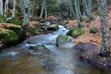 Puerto de Canencia en oto&ntilde;o (Madrid)