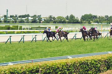 競走馬とジョッキー