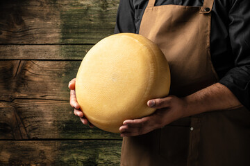 A head of hard cheese in man's cheesemaker hands. delicious dairy products. cheese maasdam with big...