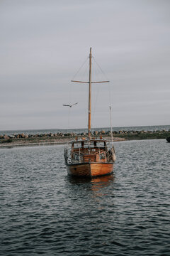 Eine M&ouml;ve fliegt um ein Segelboot aus Holz. Gotland, Kovik