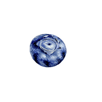 Watercolor illustration of blueberries on white background