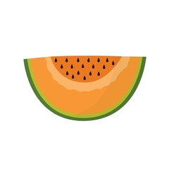 Slice of cantaloupe melon isolated element. Summer fruit healthy food print for farm market menu and recipes. Vector illustration