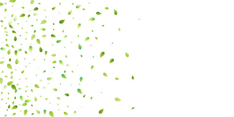 Leaves Green Falling Flying Foliage Leaf Tea Mint