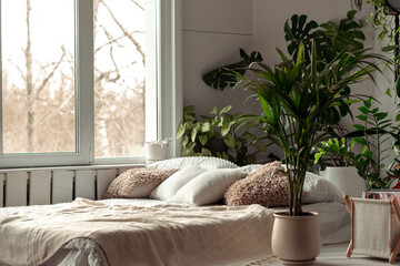 Cozy bright bedroom with indoor plants.Home interior design.Biophilia design,urban jungle concept.