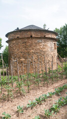 Palomar en torre de  piedra junto a huerta © Darío Peña