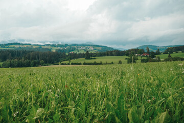 Austria, land of Styria. Beautiful mountain landscape in a mountain village after rain. The beautiful nature of Austria, the road in the mountains.