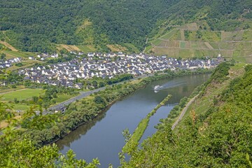 View of the Mosel loop near the village of Bremm in Rhineland-Palatinate during the day i