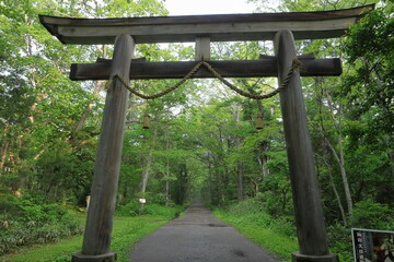 Fototapeta premium 日本 戸隠の風景
