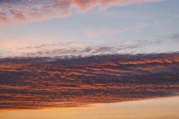 Blue-pink clouds in the light of the setting sun. Sun illuminates cirrocumulus clouds