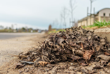 Fallen leaves are collected in heaps along the curb of the asphalt road.Spring overcast day.Selective focus.Closeup.