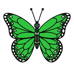 Cartoon green monarch butterfly on white background 