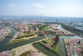 Hakodate,Hokkaido,Japan on April 29,2018:Cherry trees along the moats of Fort Goryokaku as seen from Goryokaku Tower