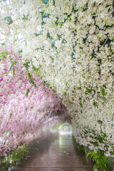 Bang Phae,Ratchaburi province,Thailand on April 13,2019:Beautiful orchid tunnel with fog spray during Songkran Festival at NaSatta Thai Park .