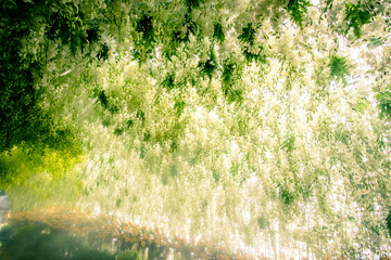 Bang Phae,Ratchaburi province,Thailand on April 13,2019:Beautiful orchid tunnel with fog spray during Songkran Festival at NaSatta Thai Park .
