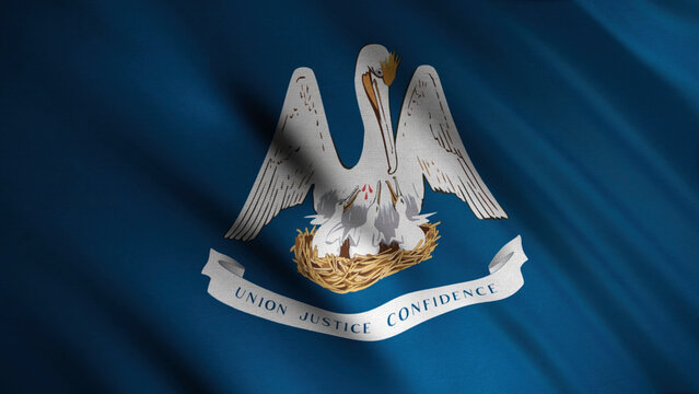 Close-up of waving Louisiana flag. Animation. Animated background with blue flag waving in wind with image of Pelican and Chicks. Flags of States of America