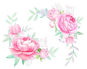Pink peonies in watercolor . Isolated on white background