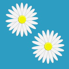 White flower pattern, blue color background, best for your decoration image