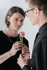 Smiling young gay man holding tulip with blurred boyfriend isolated on grey.