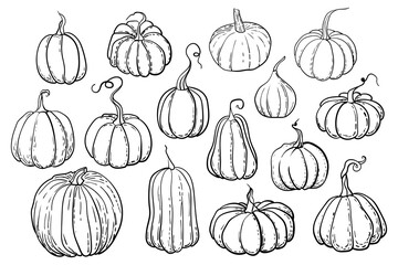 Outline illustrations of pumpkins