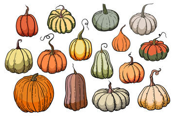 Collection various pumpkins