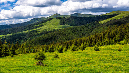 Obraz premium Mt. Cearcanul, Maramures Mountains Natural Park, Carpathians, Romania.