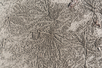 Pattern made by crabs on the Labuan beach, Malaysia