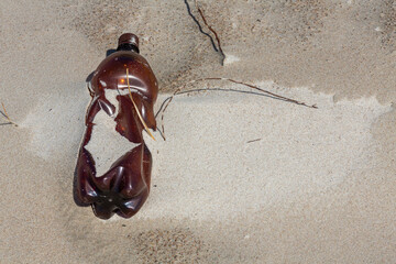 Alien Object on the Beach 3