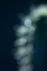 light bokeh blur background