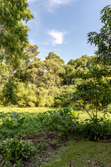 Labuan Botanical Garden, Malaysia