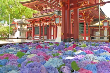 Foto op Plexiglas 太宰府天満宮の花手水紫陽花 © Kinapi