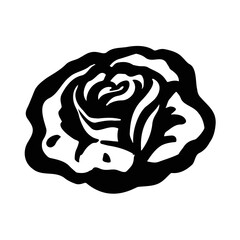 Rose, bud flower rose color blooming illustration vector
