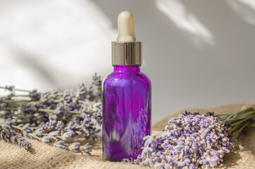 Purple cosmetic bottle with lavender oil and fresh lavender flowers