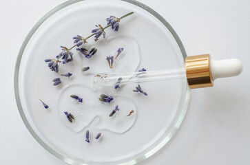 Top view of the structure of the gel in a petri dish with a pipette and lavender flowers. Research and development of lavender body care cosmetics